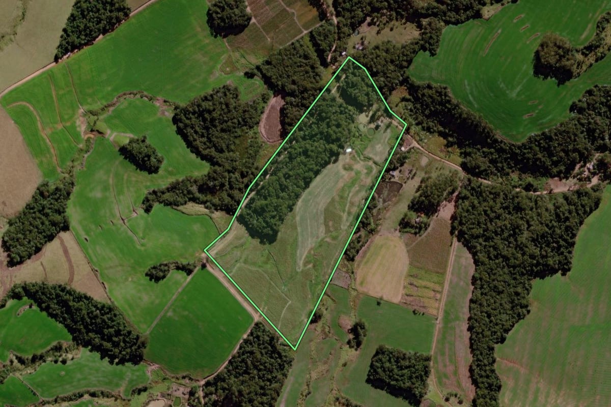 Imagem de satélite do imóvel rural em Cândido de Abreu (PR), com o contorno declarado no CAR desenhado por cima.