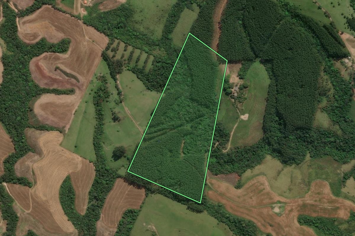 Imagem de satélite do imóvel rural em Cândido de Abreu (PR), com o contorno declarado no CAR desenhado por cima.
