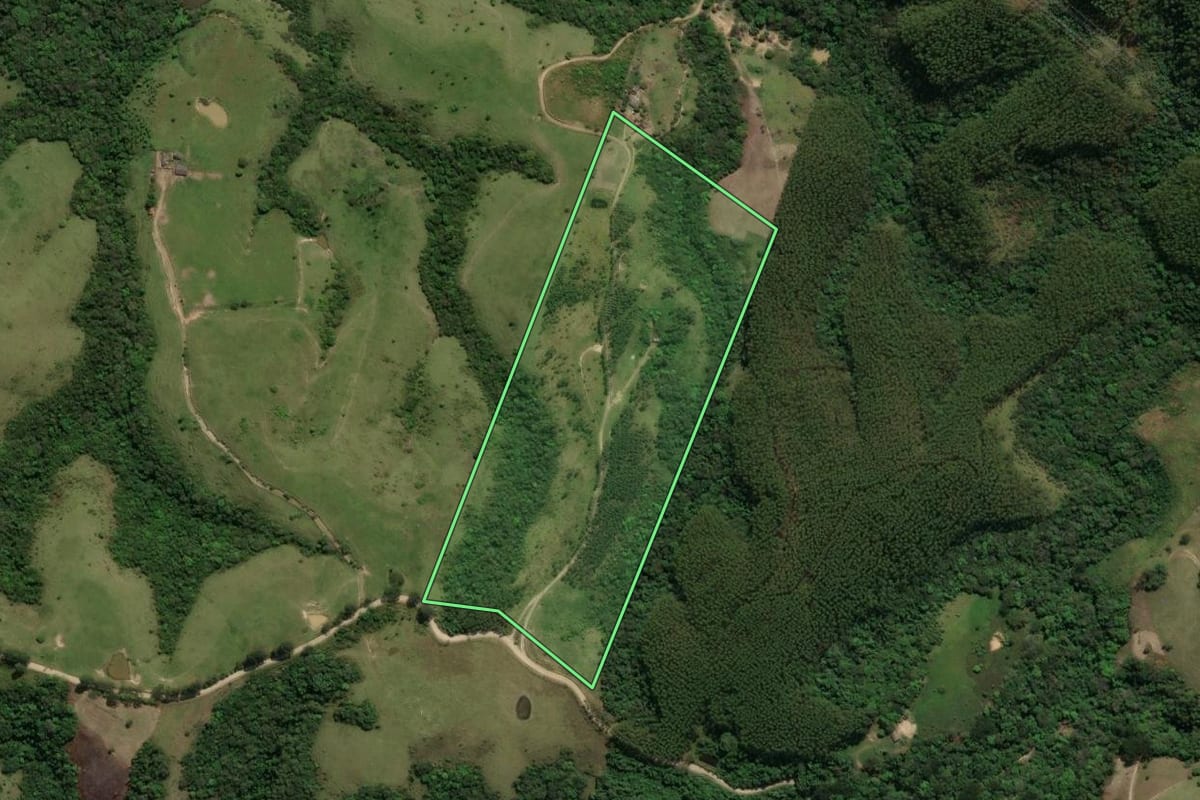Imagem de satélite do imóvel rural em Cândido de Abreu (PR), com o contorno declarado no CAR desenhado por cima.