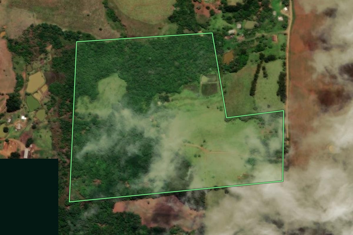 Imagem de satélite do imóvel rural em Cândido de Abreu (PR), com o contorno declarado no CAR desenhado por cima.