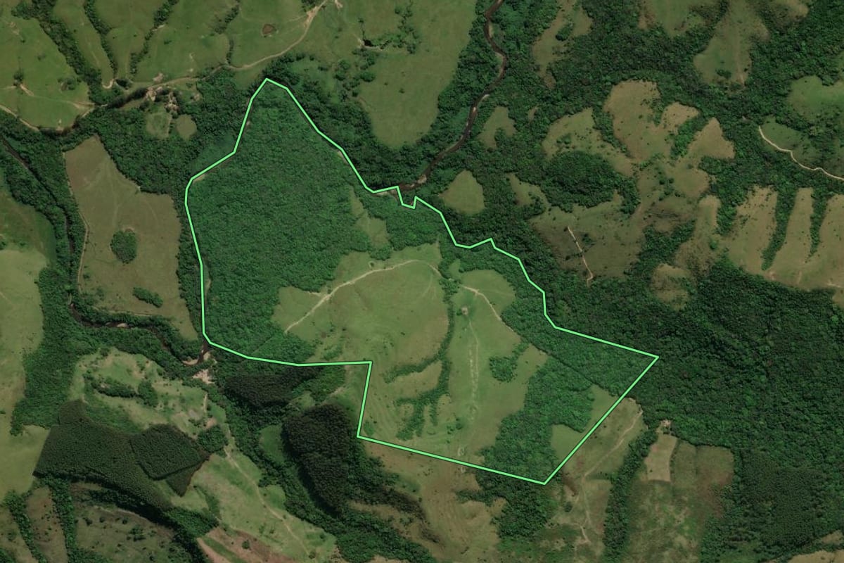 Imagem de satélite do imóvel rural em Cândido de Abreu (PR), com o contorno declarado no CAR desenhado por cima.