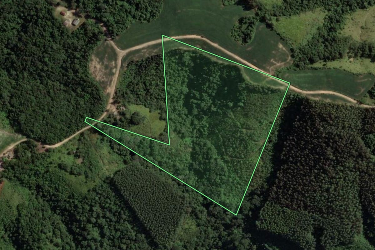 Imagem de satélite do imóvel rural em Cândido de Abreu (PR), com o contorno declarado no CAR desenhado por cima.