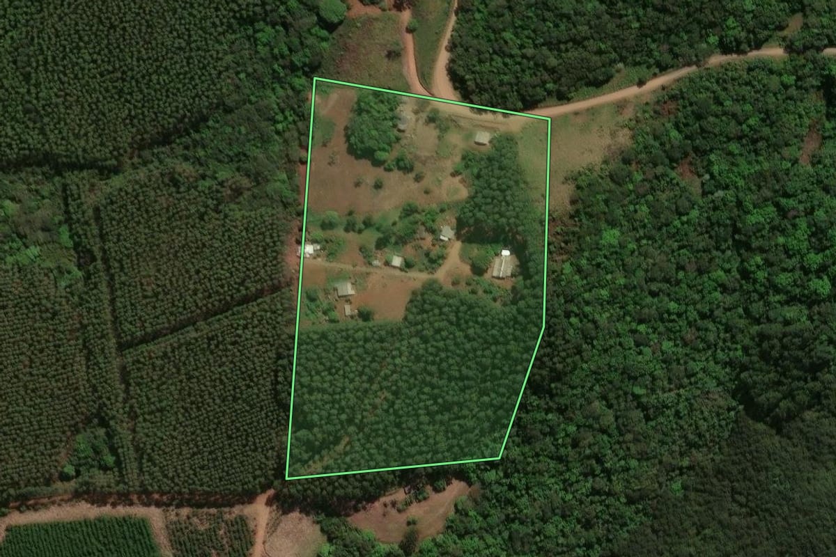 Imagem de satélite do imóvel rural em Cândido de Abreu (PR), com o contorno declarado no CAR desenhado por cima.