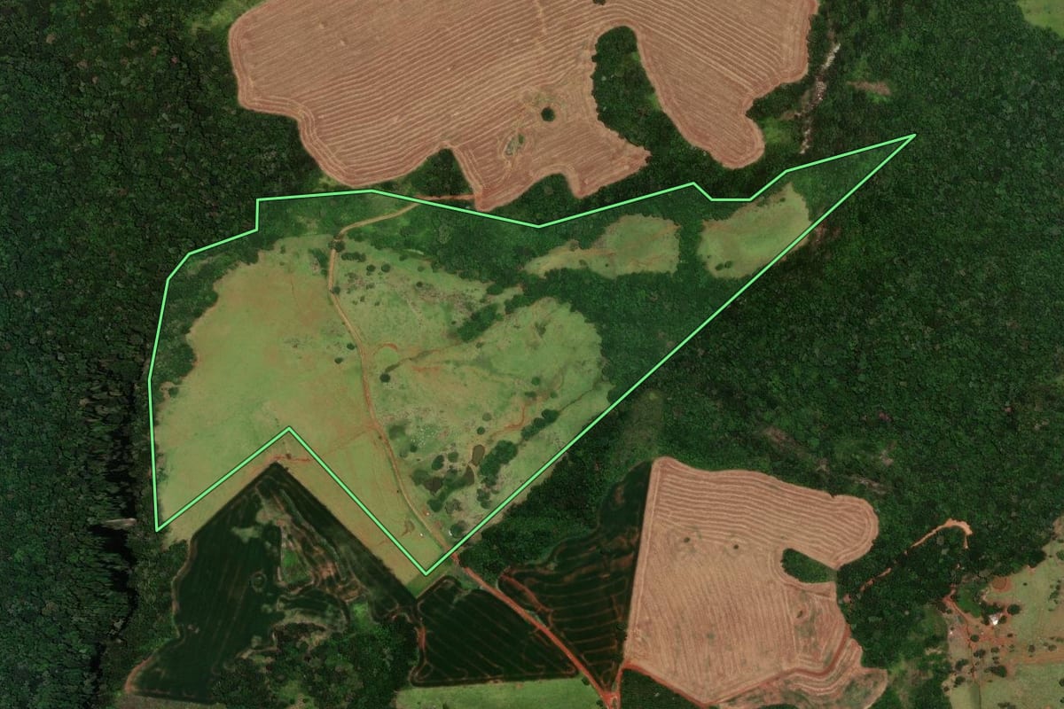 Imagem de satélite do imóvel rural em Cândido de Abreu (PR), com o contorno declarado no CAR desenhado por cima.