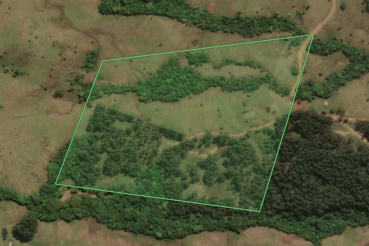 Imagem de satélite do imóvel rural em Cândido de Abreu (PR), com o contorno declarado no CAR desenhado por cima.