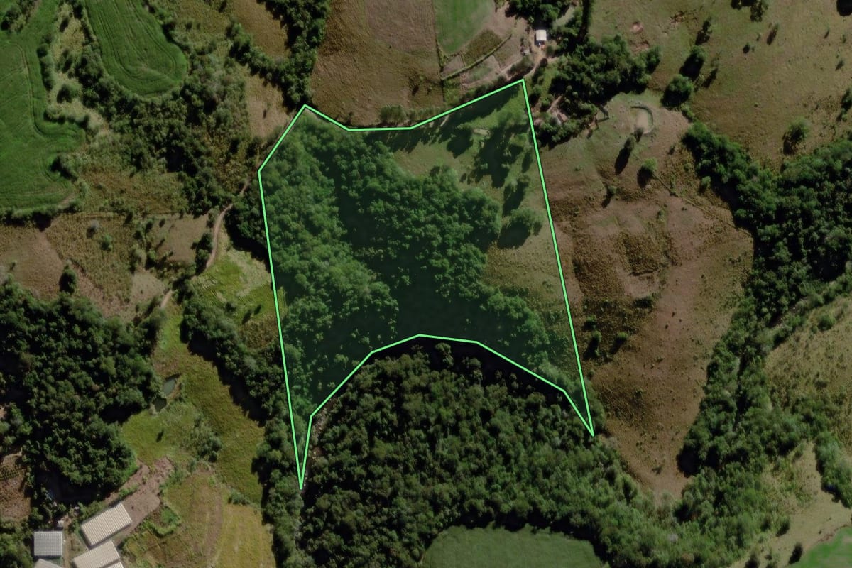 Imagem de satélite do imóvel rural em Cândido de Abreu (PR), com o contorno declarado no CAR desenhado por cima.