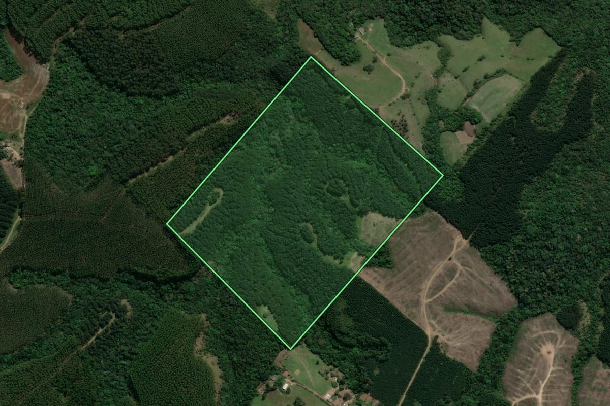 Imagem de satélite do imóvel rural em Cândido de Abreu (PR), com o contorno declarado no CAR desenhado por cima.