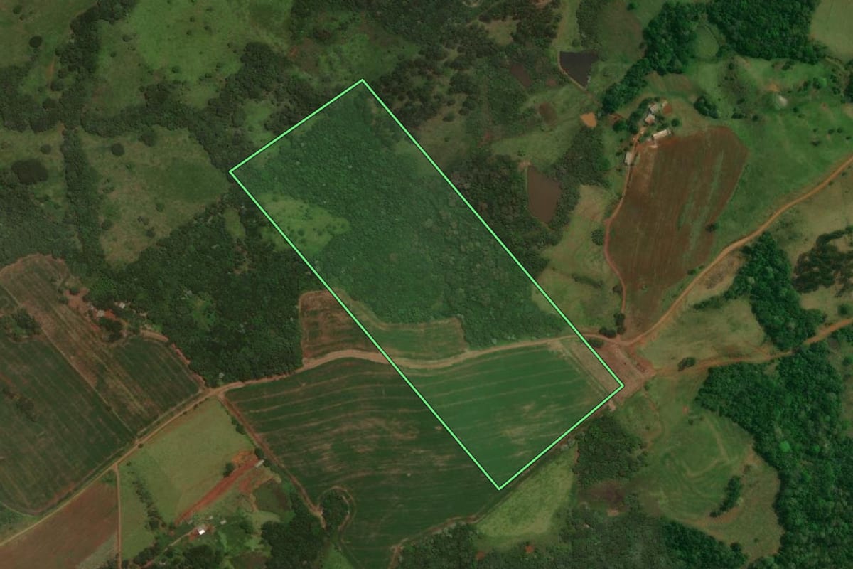 Imagem de satélite do imóvel rural em Cândido de Abreu (PR), com o contorno declarado no CAR desenhado por cima.