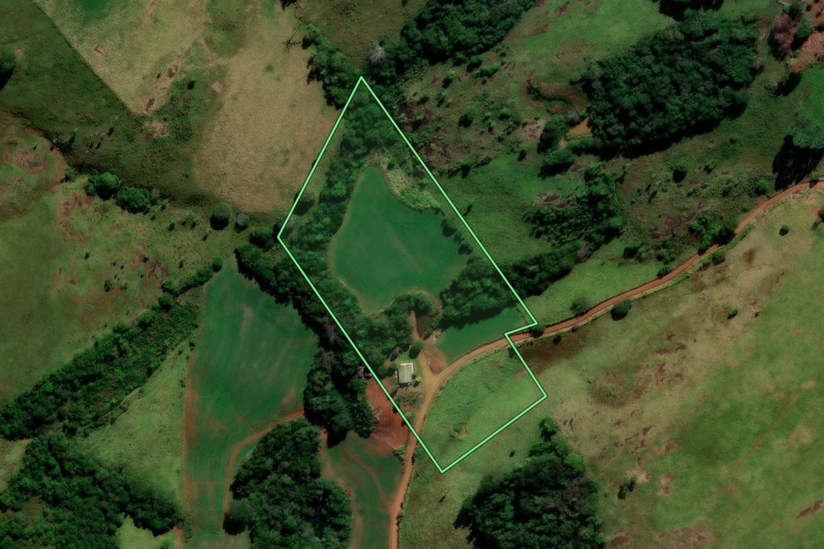 Imagem de satélite do imóvel rural em Candói (PR), com o contorno declarado no CAR desenhado por cima.