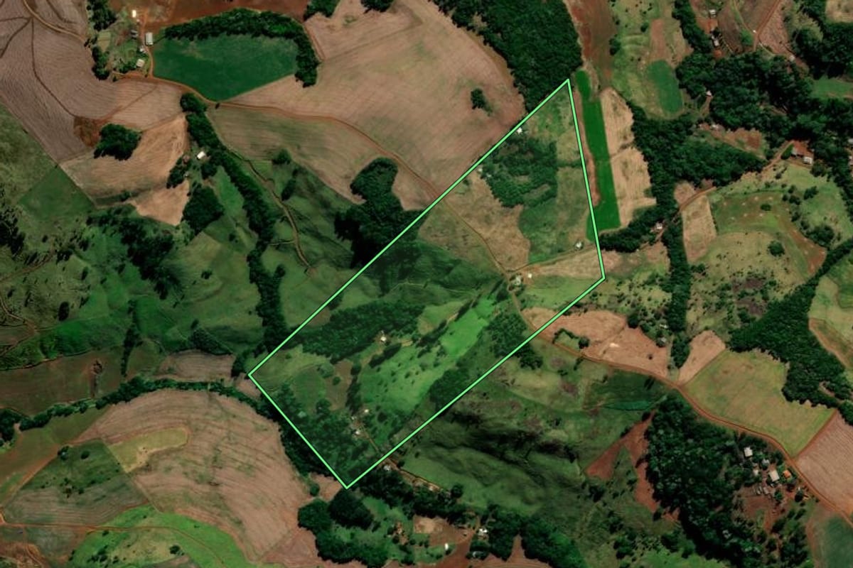 Imagem de satélite do imóvel rural em Candói (PR), com o contorno declarado no CAR desenhado por cima.