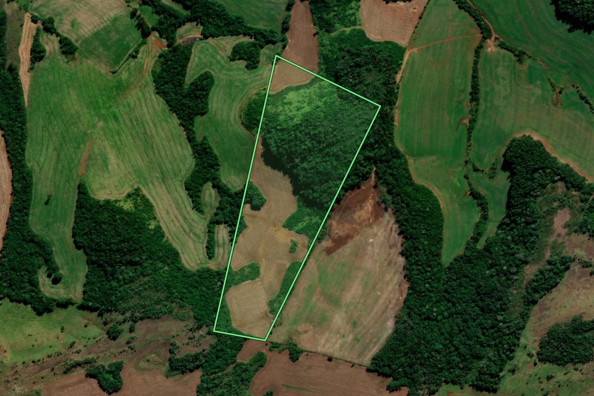 Imagem de satélite do imóvel rural em Candói (PR), com o contorno declarado no CAR desenhado por cima.