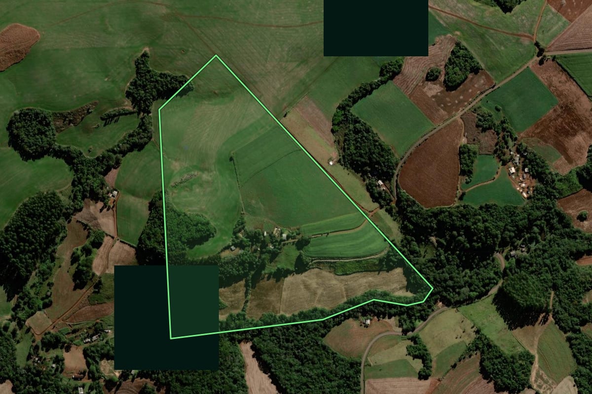 Imagem de satélite do imóvel rural em Candói (PR), com o contorno declarado no CAR desenhado por cima.