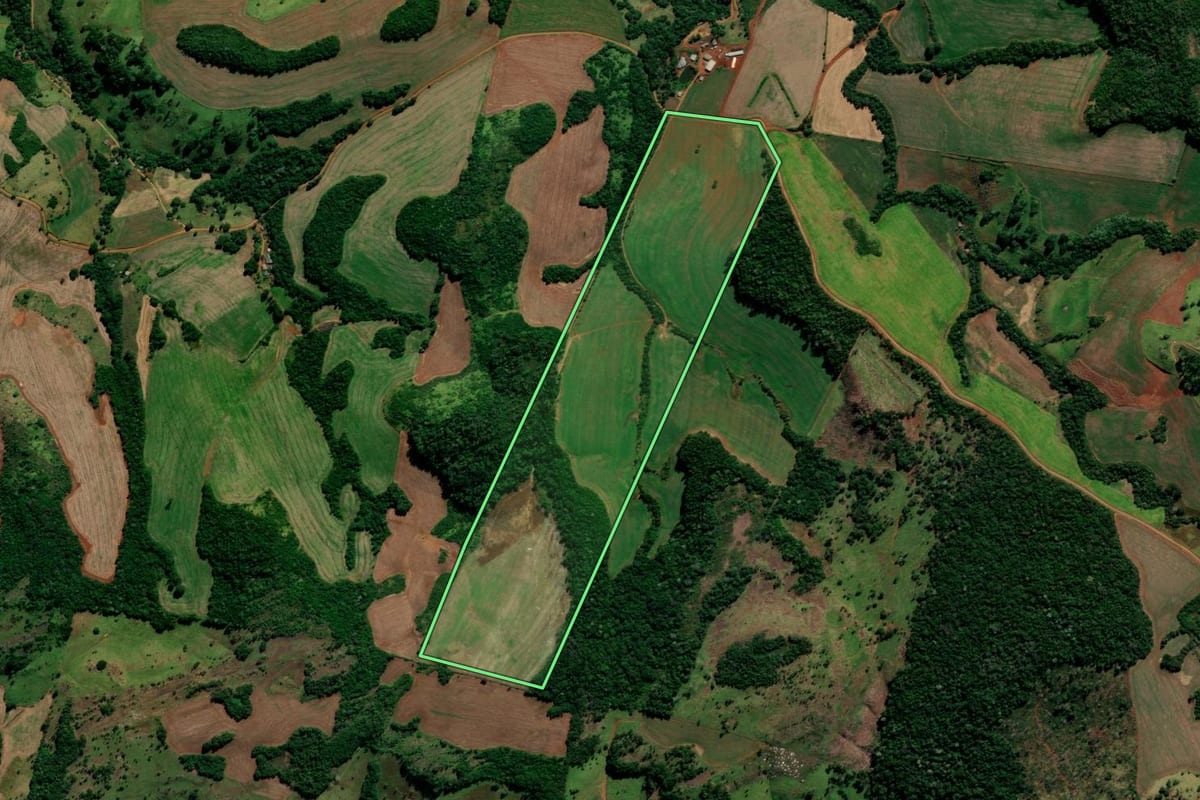 Imagem de satélite do imóvel rural em Candói (PR), com o contorno declarado no CAR desenhado por cima.