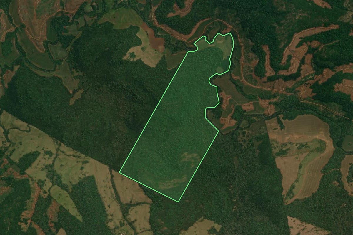 Imagem de satélite do imóvel rural em Candói (PR), com o contorno declarado no CAR desenhado por cima.