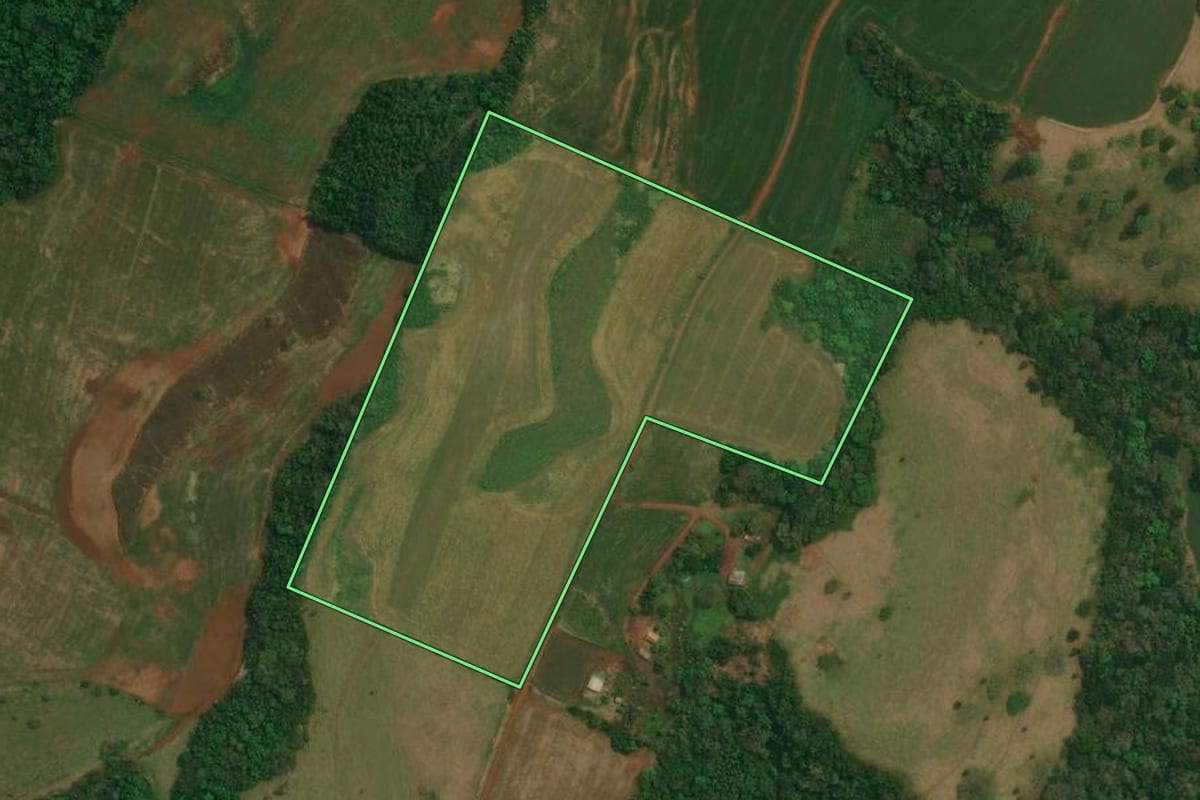 Imagem de satélite do imóvel rural em Candói (PR), com o contorno declarado no CAR desenhado por cima.