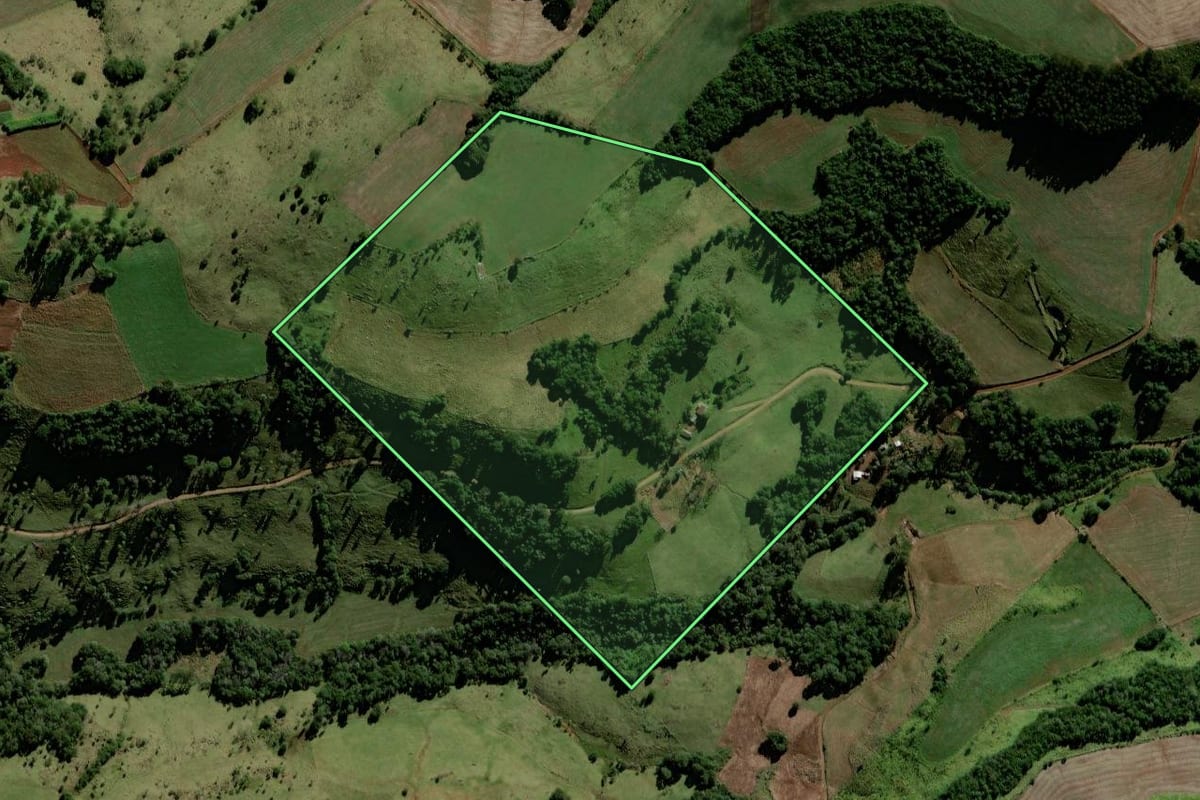 Imagem de satélite do imóvel rural em Candói (PR), com o contorno declarado no CAR desenhado por cima.