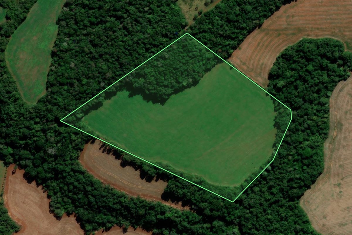 Imagem de satélite do imóvel rural em Candói (PR), com o contorno declarado no CAR desenhado por cima.