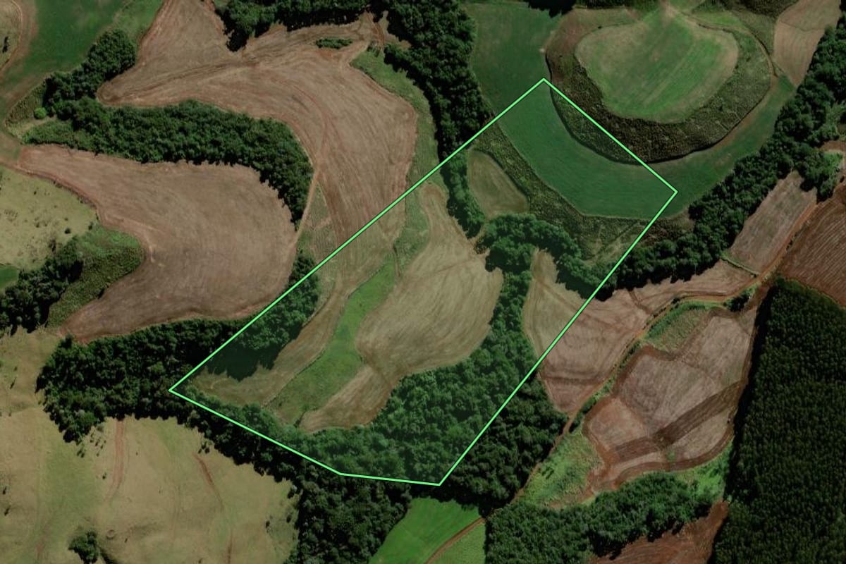 Imagem de satélite do imóvel rural em Candói (PR), com o contorno declarado no CAR desenhado por cima.