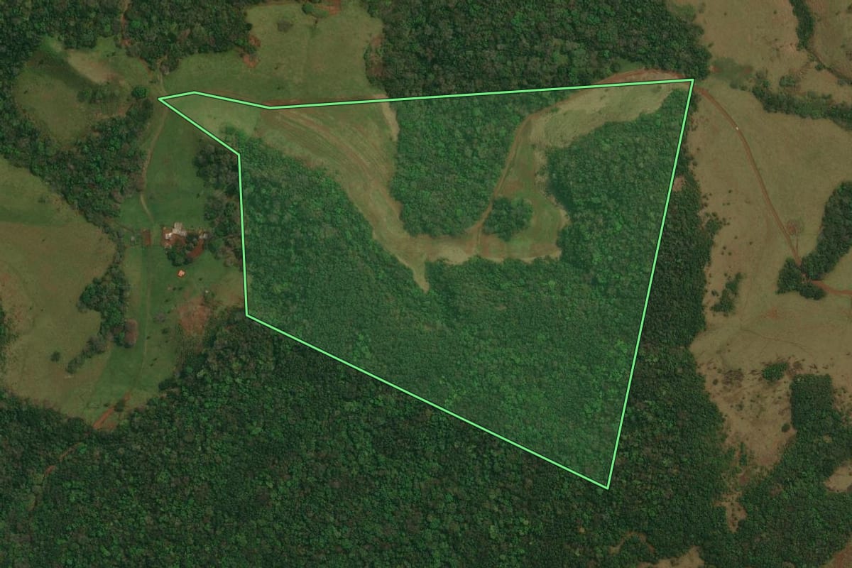 Imagem de satélite do imóvel rural em Candói (PR), com o contorno declarado no CAR desenhado por cima.
