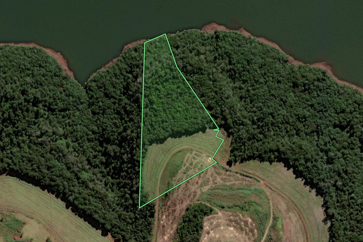 Imagem de satélite do imóvel rural em Candói (PR), com o contorno declarado no CAR desenhado por cima.