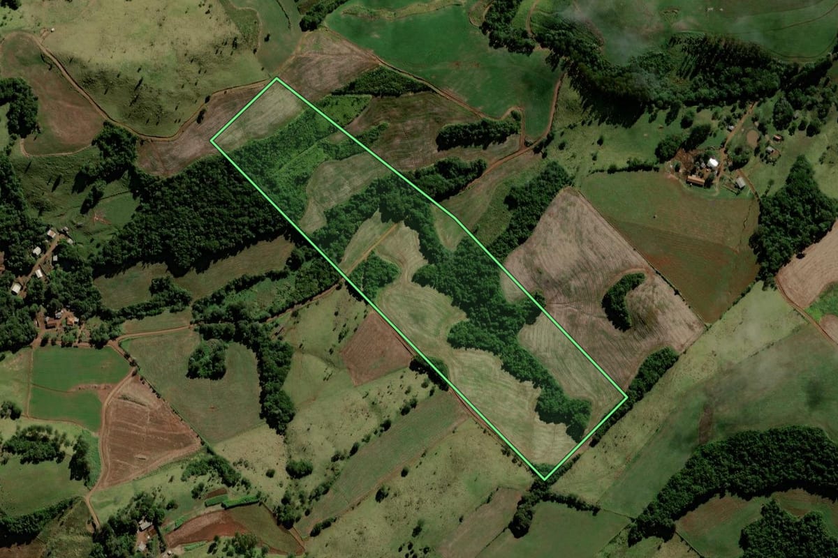 Imagem de satélite do imóvel rural em Candói (PR), com o contorno declarado no CAR desenhado por cima.