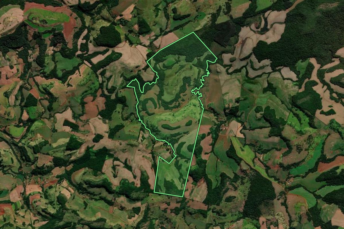 Imagem de satélite do imóvel rural em Candói (PR), com o contorno declarado no CAR desenhado por cima.
