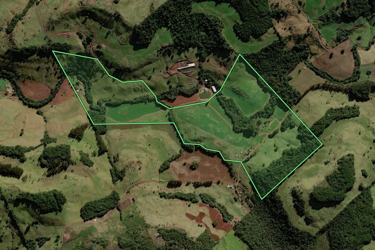 Imagem de satélite do imóvel rural em Candói (PR), com o contorno declarado no CAR desenhado por cima.