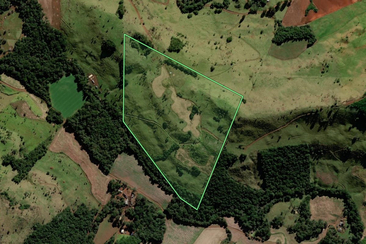 Imagem de satélite do imóvel rural em Candói (PR), com o contorno declarado no CAR desenhado por cima.