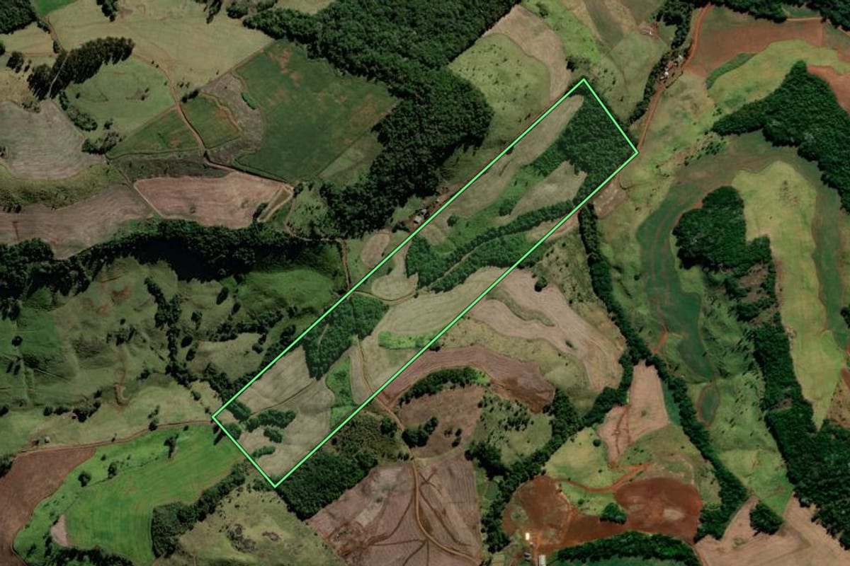 Imagem de satélite do imóvel rural em Candói (PR), com o contorno declarado no CAR desenhado por cima.