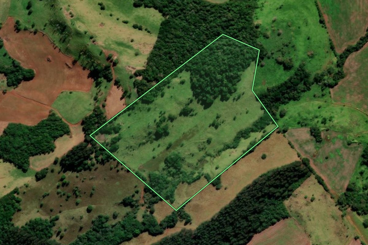 Imagem de satélite do imóvel rural em Candói (PR), com o contorno declarado no CAR desenhado por cima.