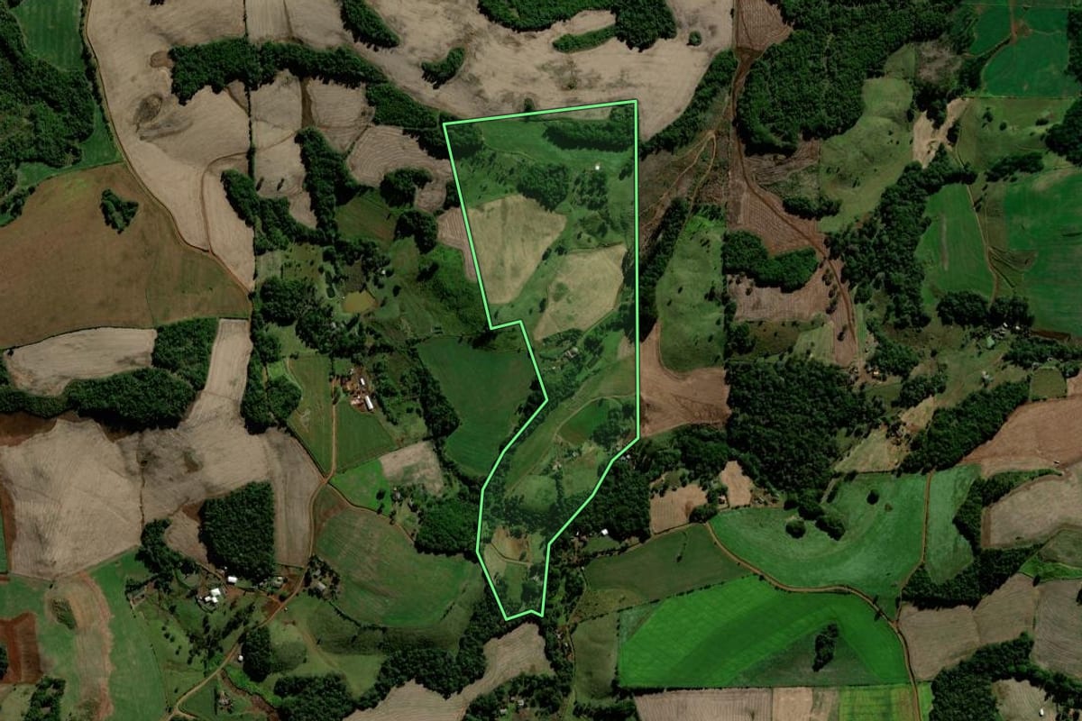 Imagem de satélite do imóvel rural em Candói (PR), com o contorno declarado no CAR desenhado por cima.