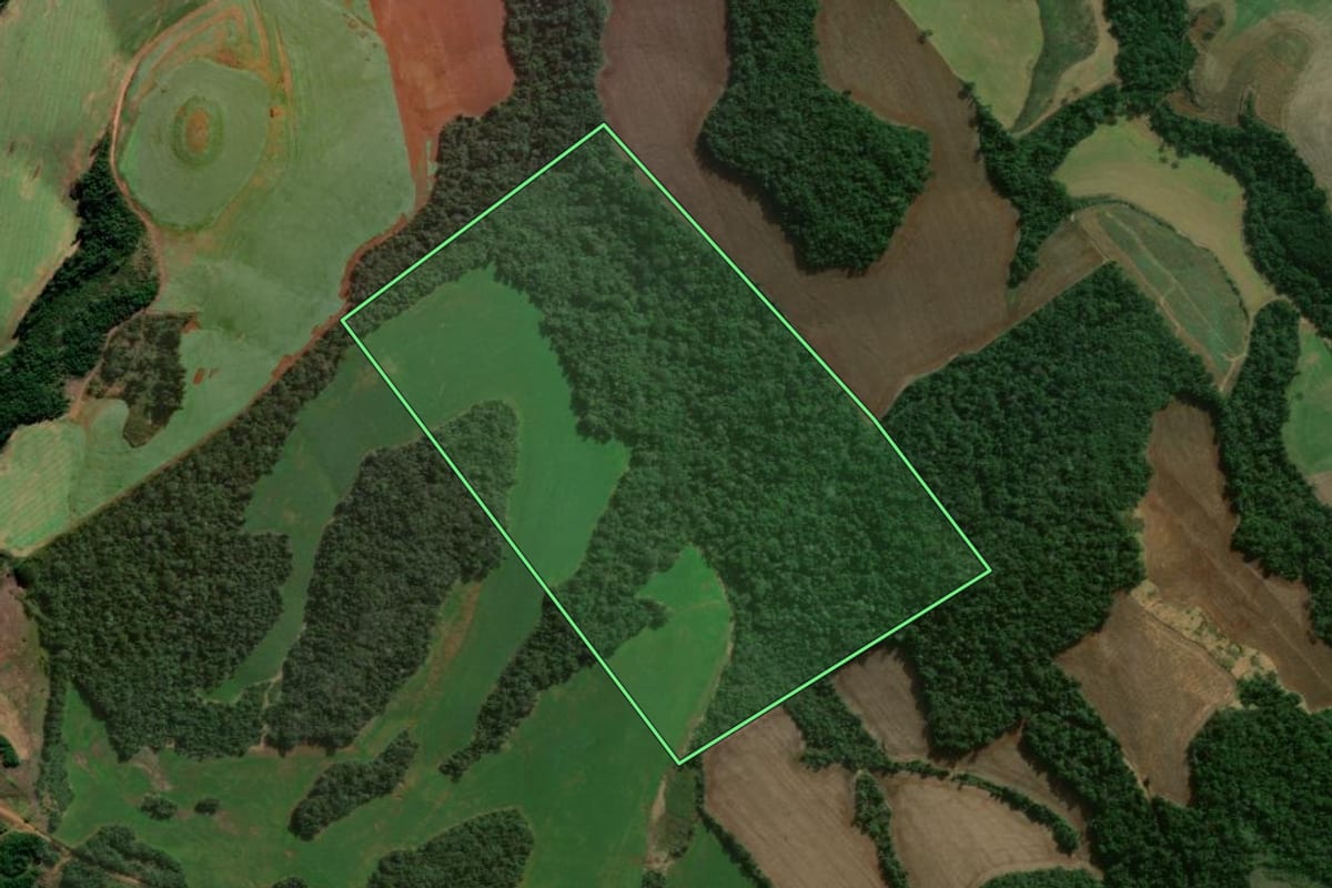 Imagem de satélite do imóvel rural em Candói (PR), com o contorno declarado no CAR desenhado por cima.