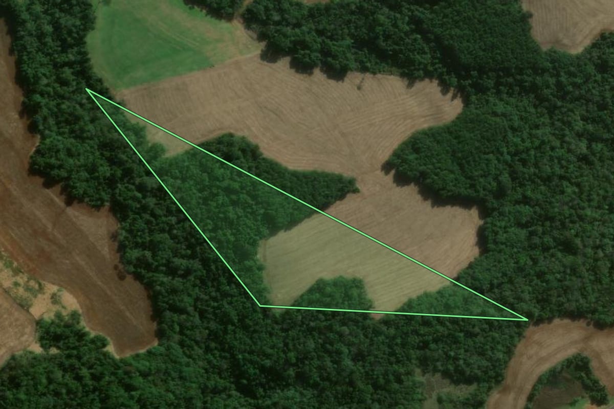 Imagem de satélite do imóvel rural em Candói (PR), com o contorno declarado no CAR desenhado por cima.