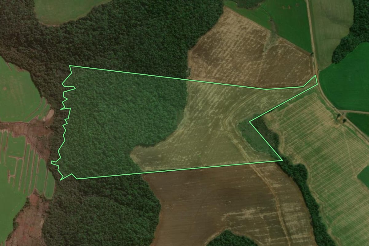 Imagem de satélite do imóvel rural em Candói (PR), com o contorno declarado no CAR desenhado por cima.