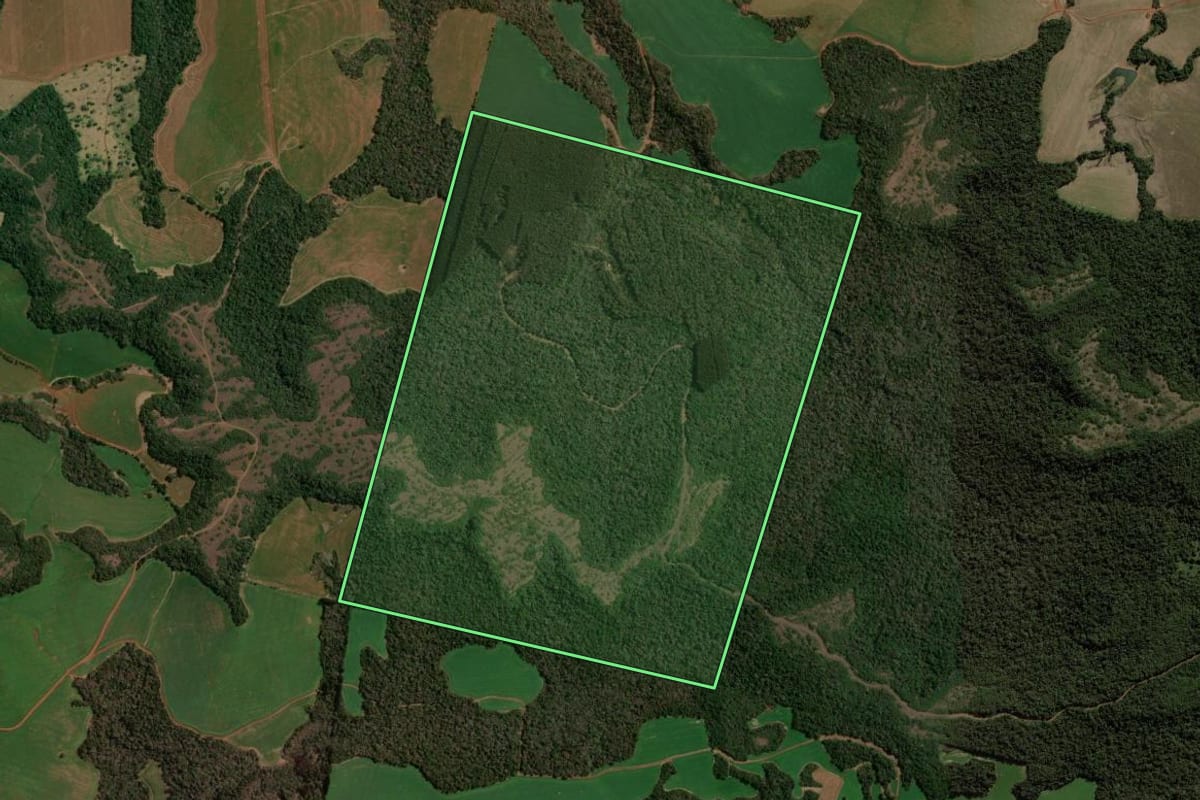 Imagem de satélite do imóvel rural em Candói (PR), com o contorno declarado no CAR desenhado por cima.