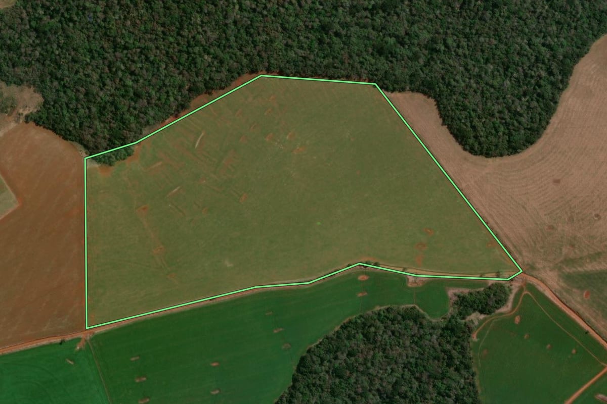 Imagem de satélite do imóvel rural em Candói (PR), com o contorno declarado no CAR desenhado por cima.