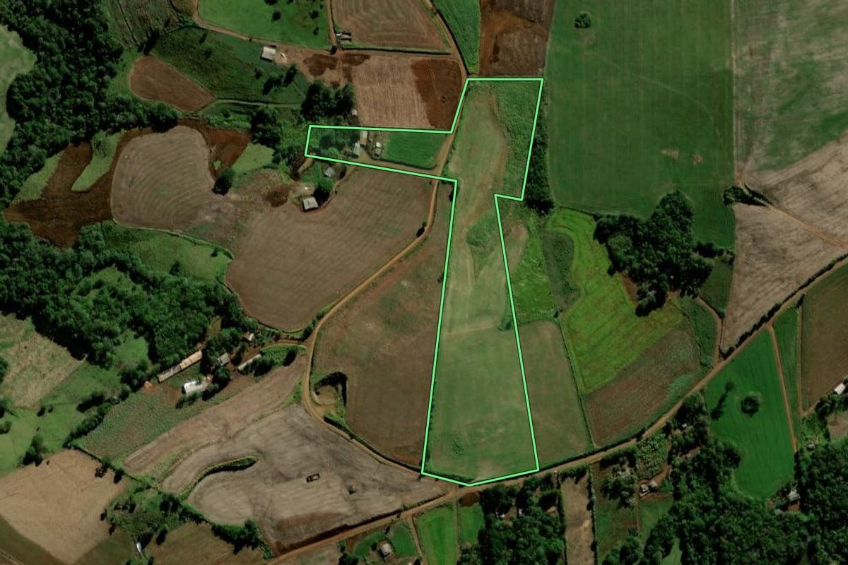 Imagem de satélite do imóvel rural em Candói (PR), com o contorno declarado no CAR desenhado por cima.