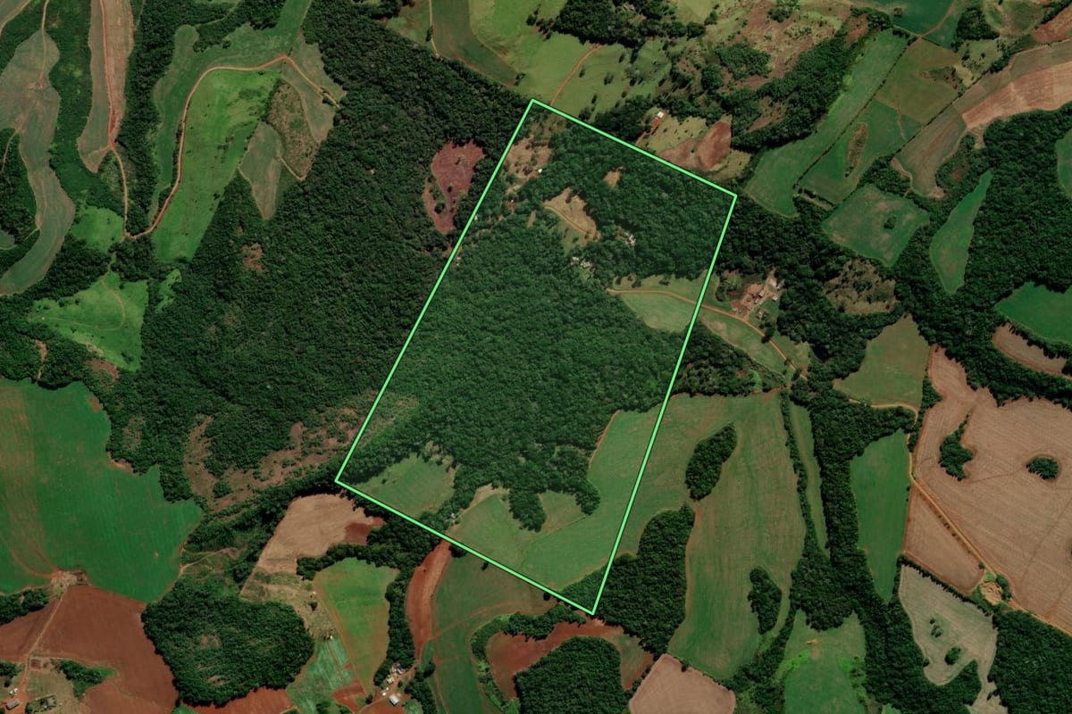 Imagem de satélite do imóvel rural em Candói (PR), com o contorno declarado no CAR desenhado por cima.