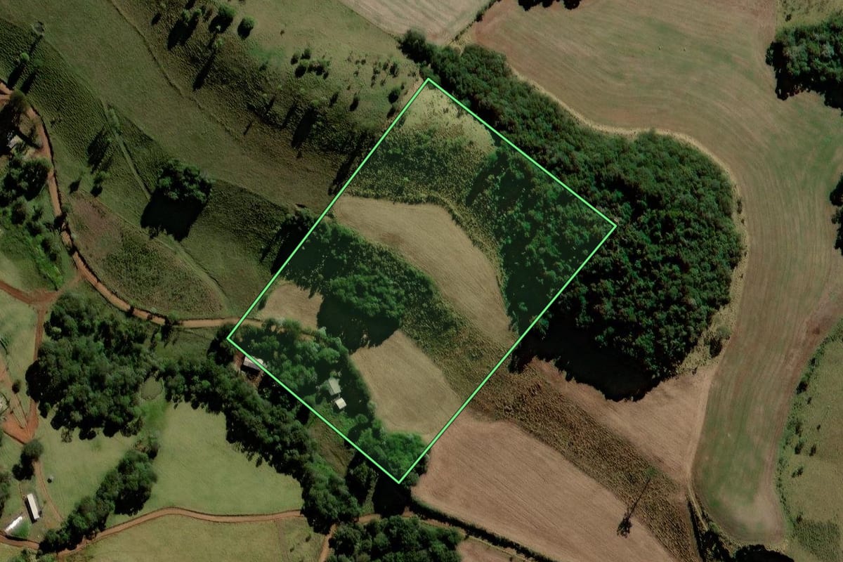 Imagem de satélite do imóvel rural em Candói (PR), com o contorno declarado no CAR desenhado por cima.