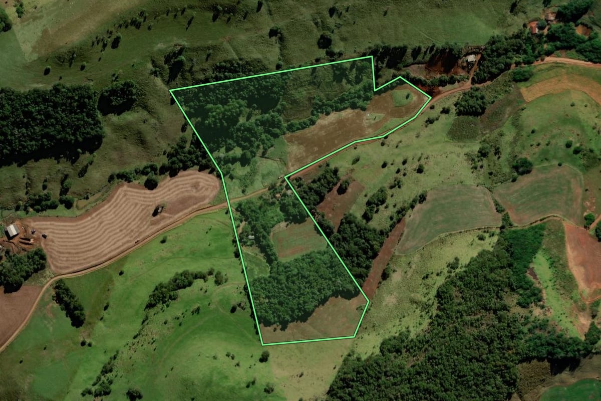 Imagem de satélite do imóvel rural em Candói (PR), com o contorno declarado no CAR desenhado por cima.