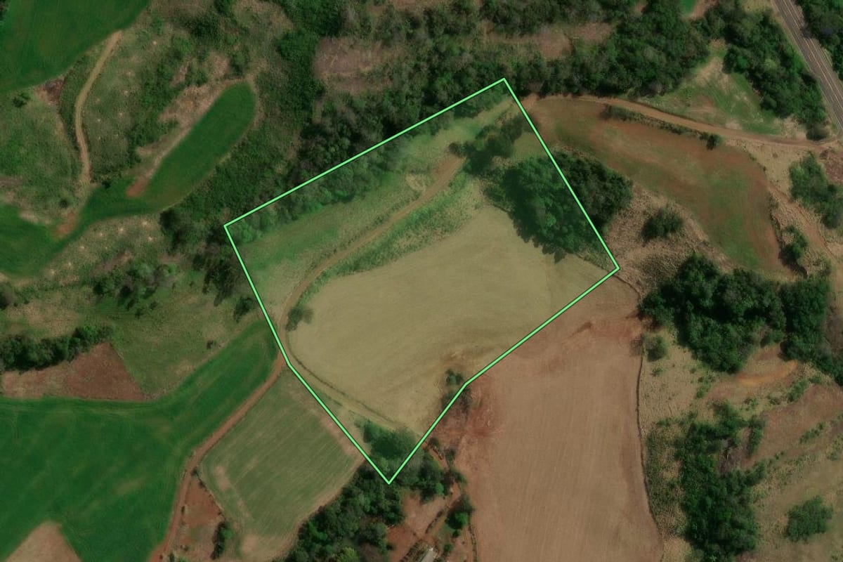 Imagem de satélite do imóvel rural em Candói (PR), com o contorno declarado no CAR desenhado por cima.