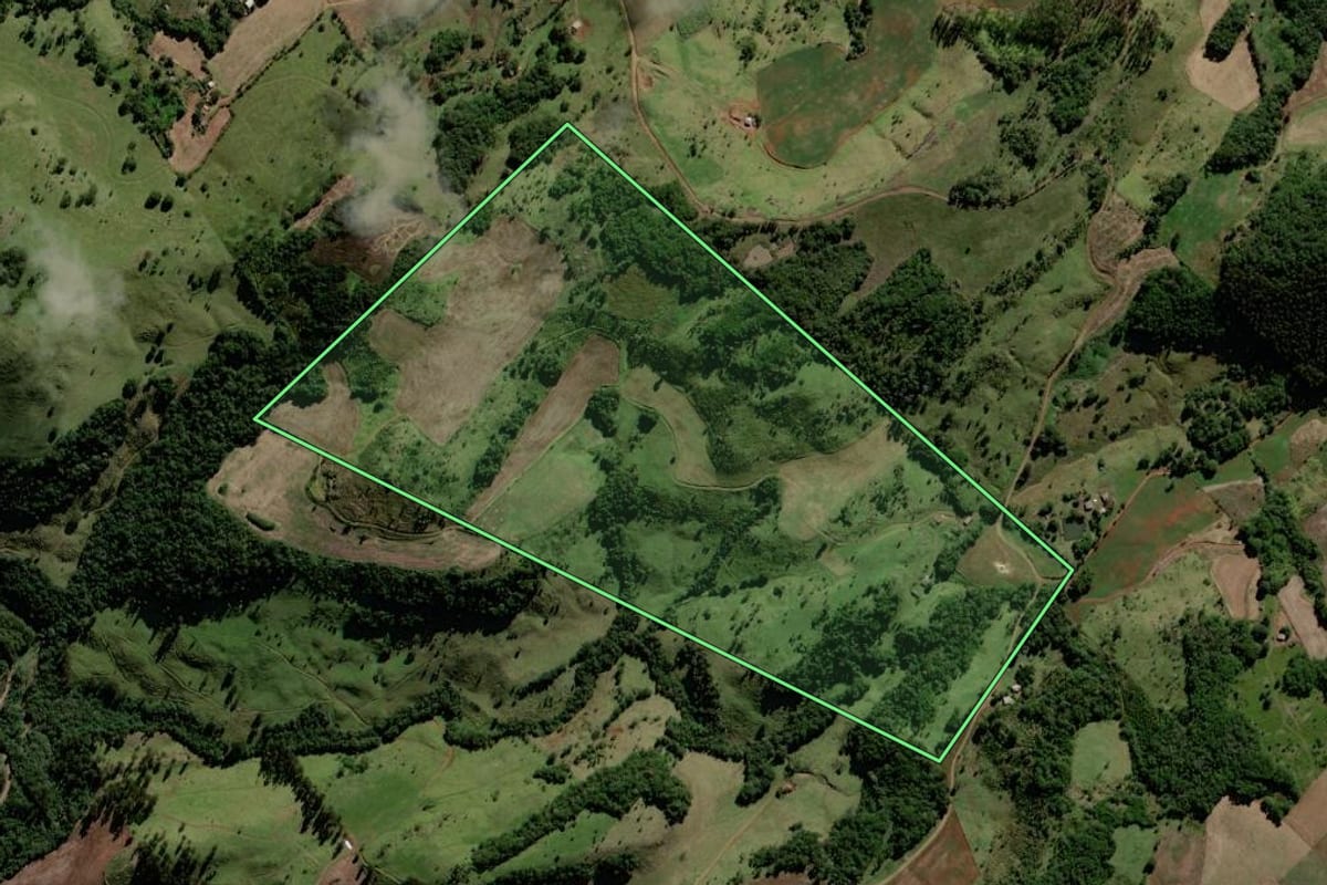Imagem de satélite do imóvel rural em Candói (PR), com o contorno declarado no CAR desenhado por cima.