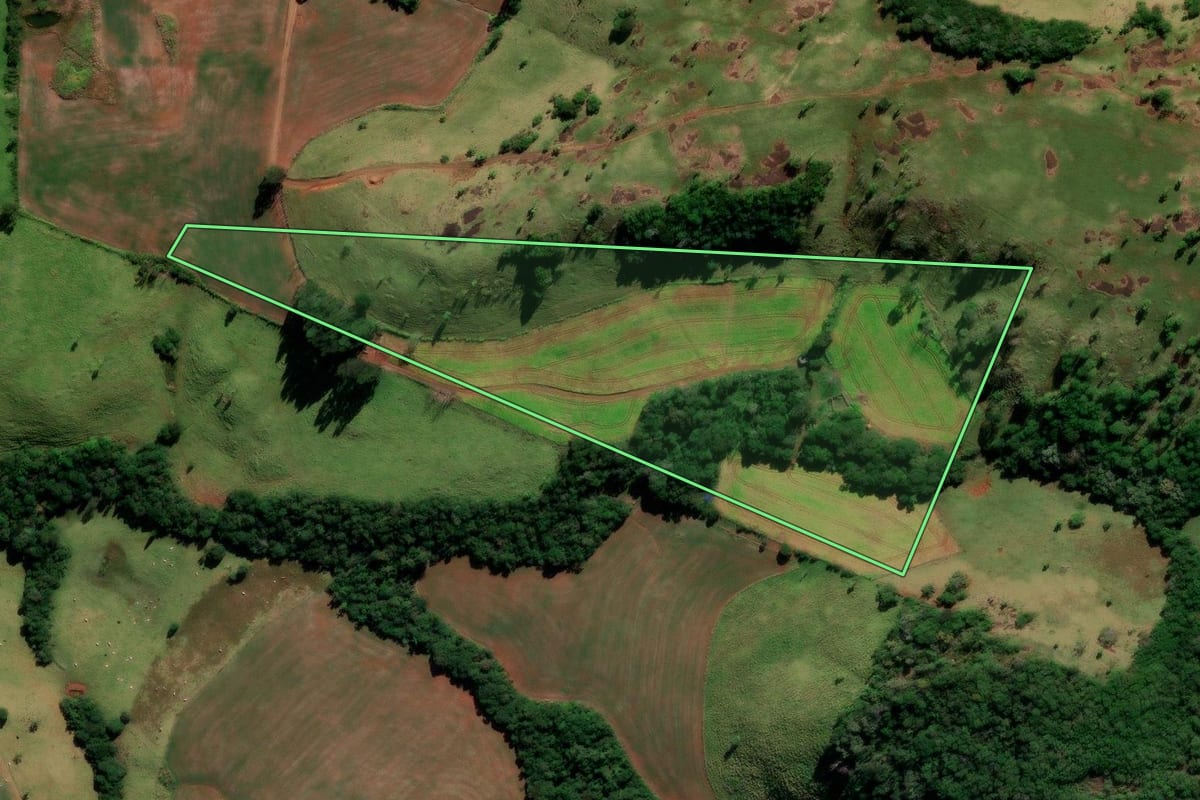 Imagem de satélite do imóvel rural em Candói (PR), com o contorno declarado no CAR desenhado por cima.