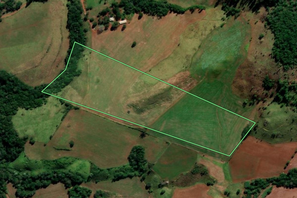 Imagem de satélite do imóvel rural em Candói (PR), com o contorno declarado no CAR desenhado por cima.