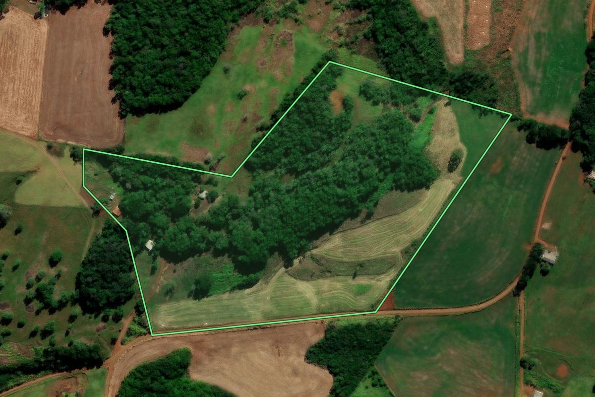 Imagem de satélite do imóvel rural em Candói (PR), com o contorno declarado no CAR desenhado por cima.
