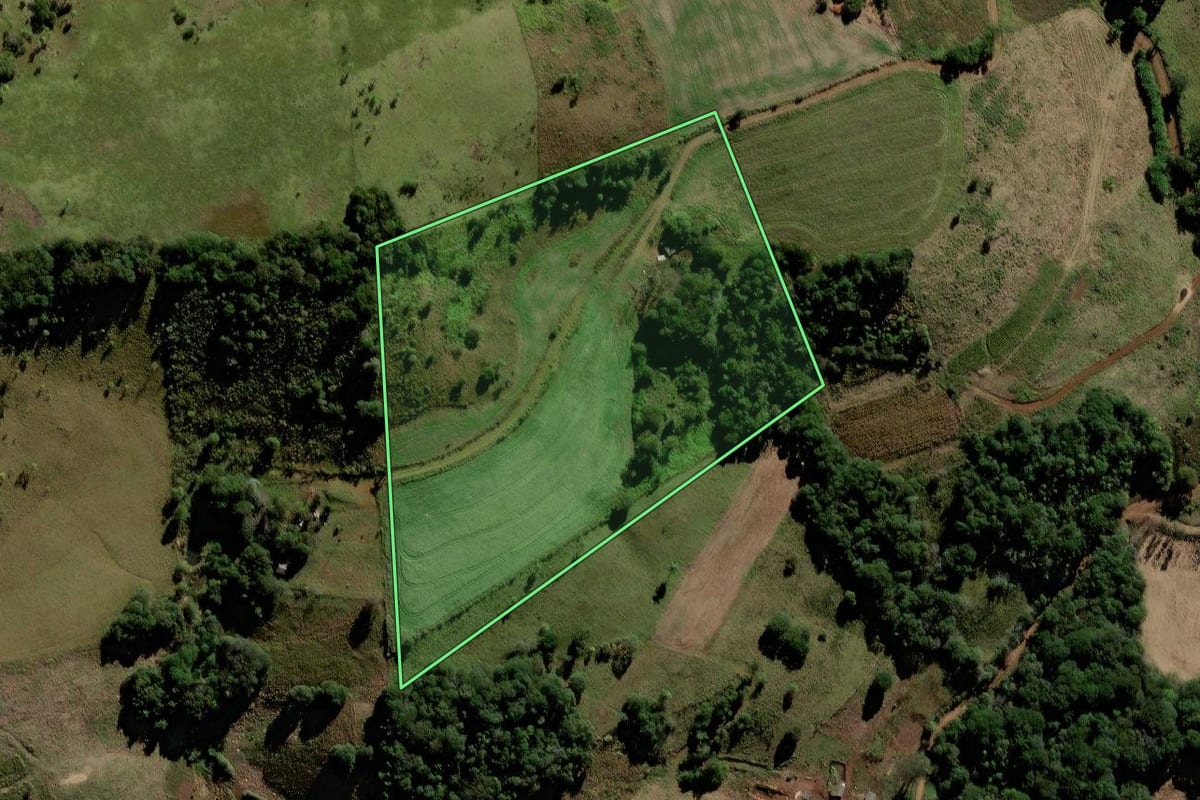 Imagem de satélite do imóvel rural em Candói (PR), com o contorno declarado no CAR desenhado por cima.