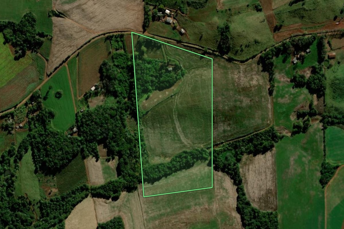 Imagem de satélite do imóvel rural em Candói (PR), com o contorno declarado no CAR desenhado por cima.