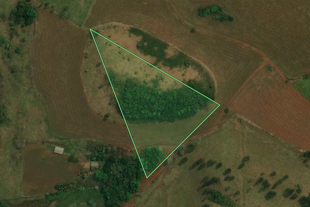 Imagem de satélite do imóvel rural em Candói (PR), com o contorno declarado no CAR desenhado por cima.