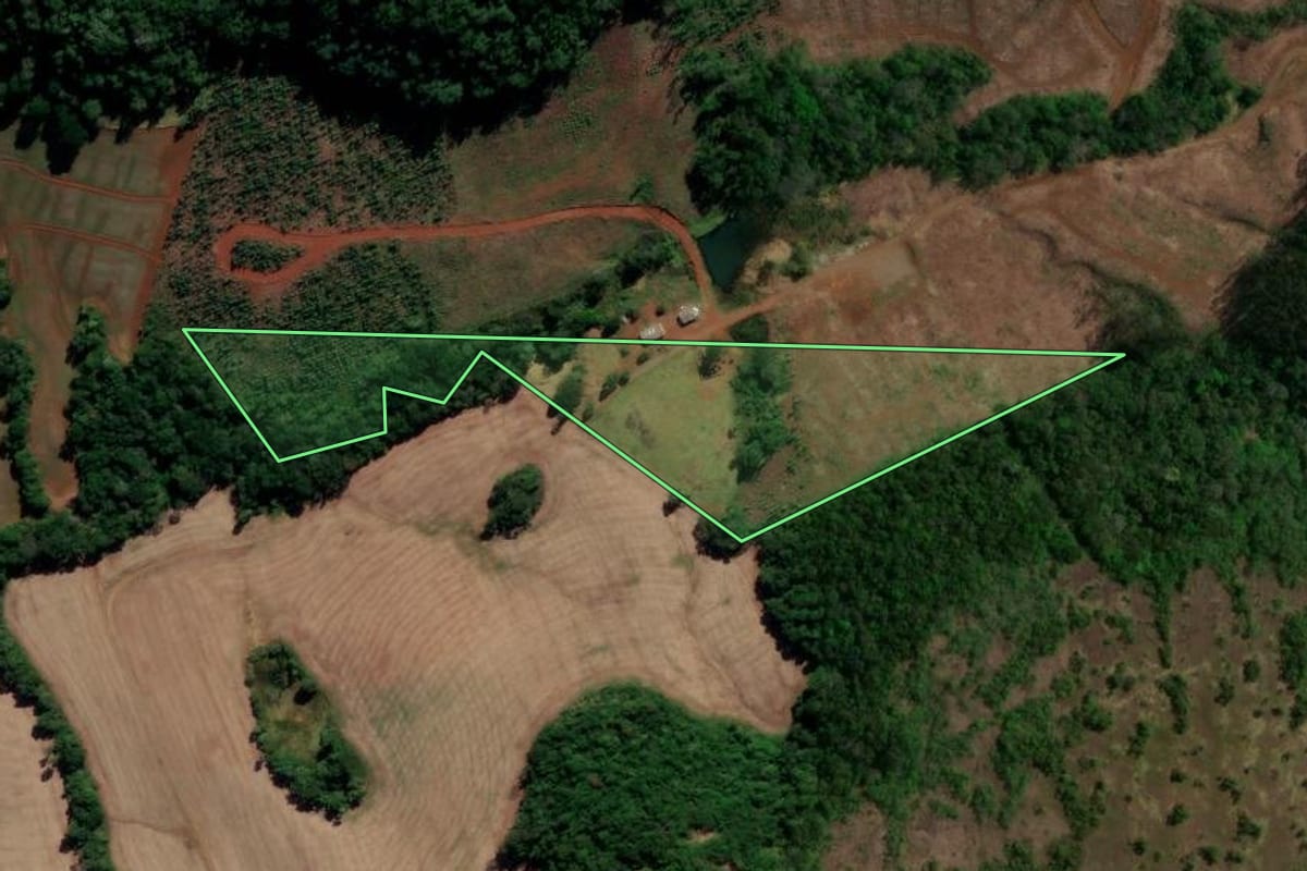Imagem de satélite do imóvel rural em Candói (PR), com o contorno declarado no CAR desenhado por cima.