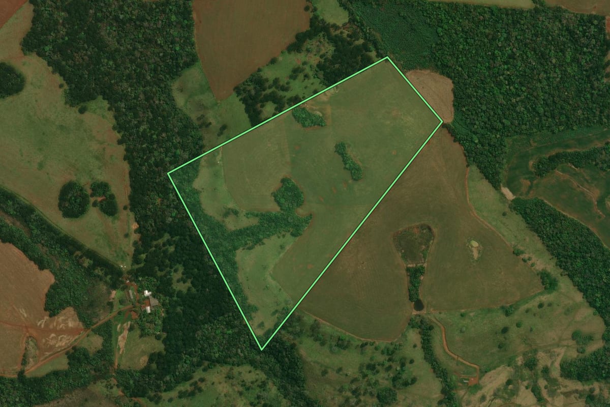 Imagem de satélite do imóvel rural em Cantagalo (PR), com o contorno declarado no CAR desenhado por cima.